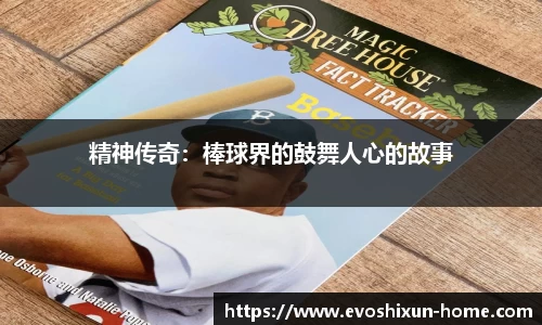 EVO视讯真人